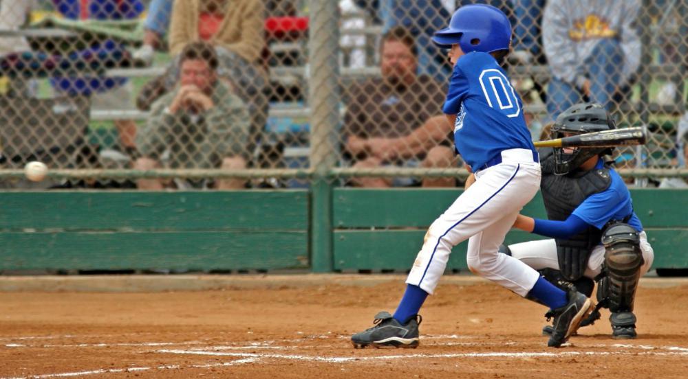 Indemnification means a spectator hit by a baseball at a game can't take legal action because they agree not to sue the stadium or teams involved when they purchase a ticket for a baseball game.