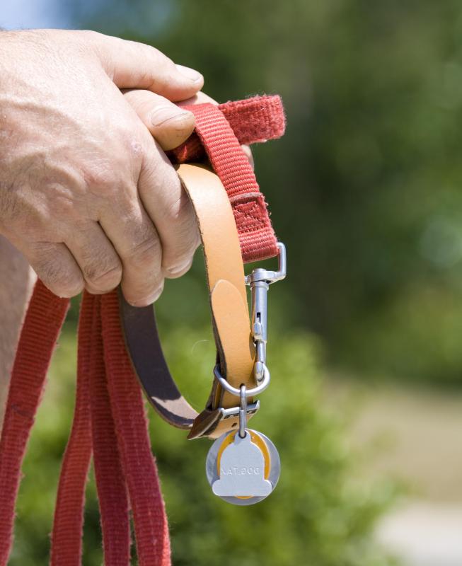 Pet owners must comply with leash laws if they don't want to be accused of negligence.