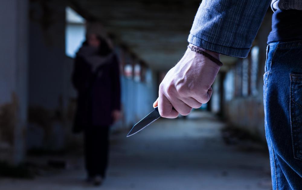 Some attribute criminal behavior to a lack of control over intense emotions, such as jealousy and anger.