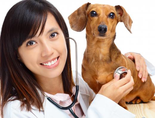 Because dog bites are an assumed danger of the job, veterinarians are exempt from dog bite liability.