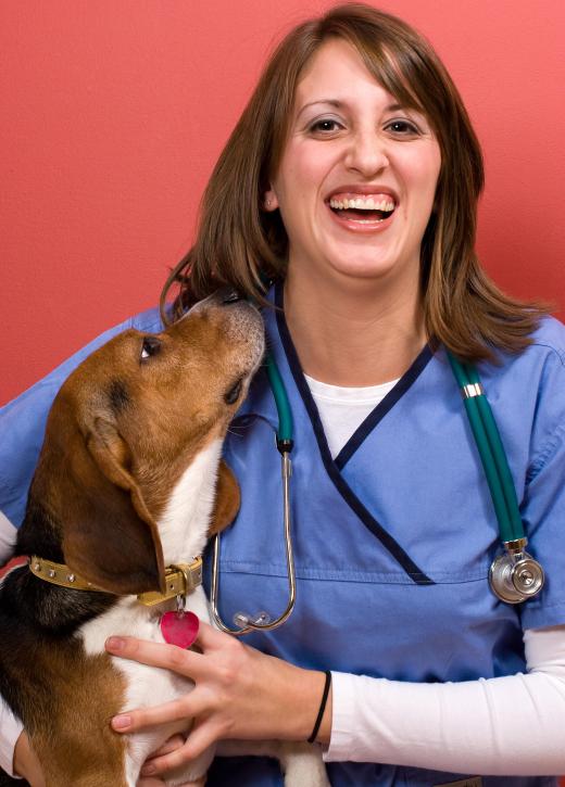 A veterinary assistant may require direct supervision.