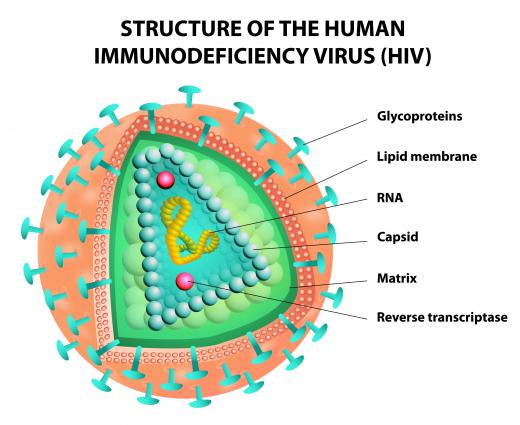 HIV is the virus that causes acquired immune deficiency syndrome, known as AIDS.