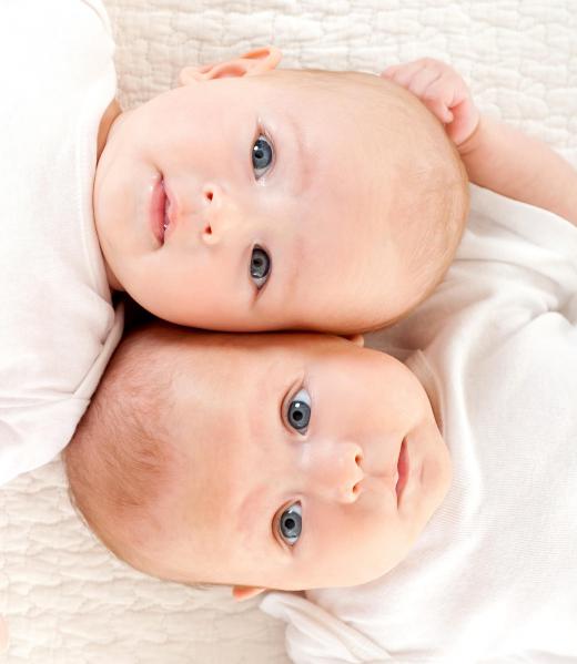 Identical twins have identical DNA, since they were born from the same fertilized egg.