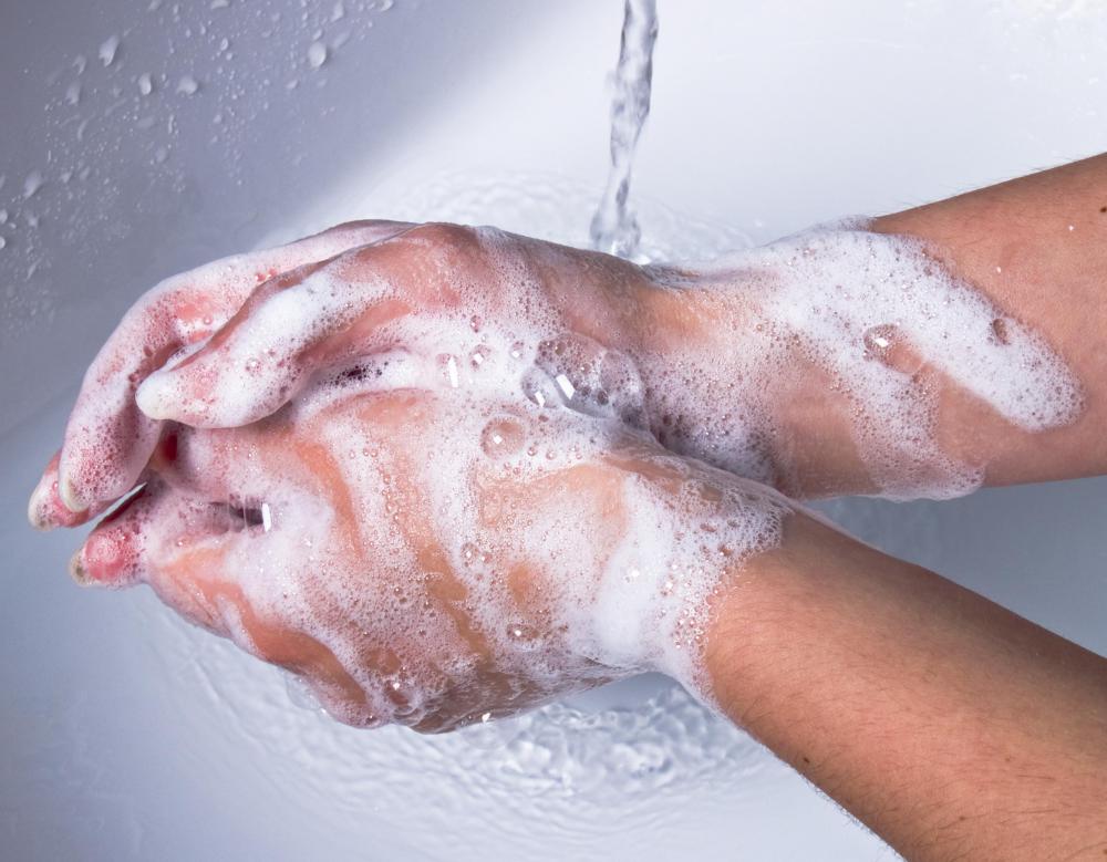 Individuals who work in food preparation are required to perform proper hand washing techniques.