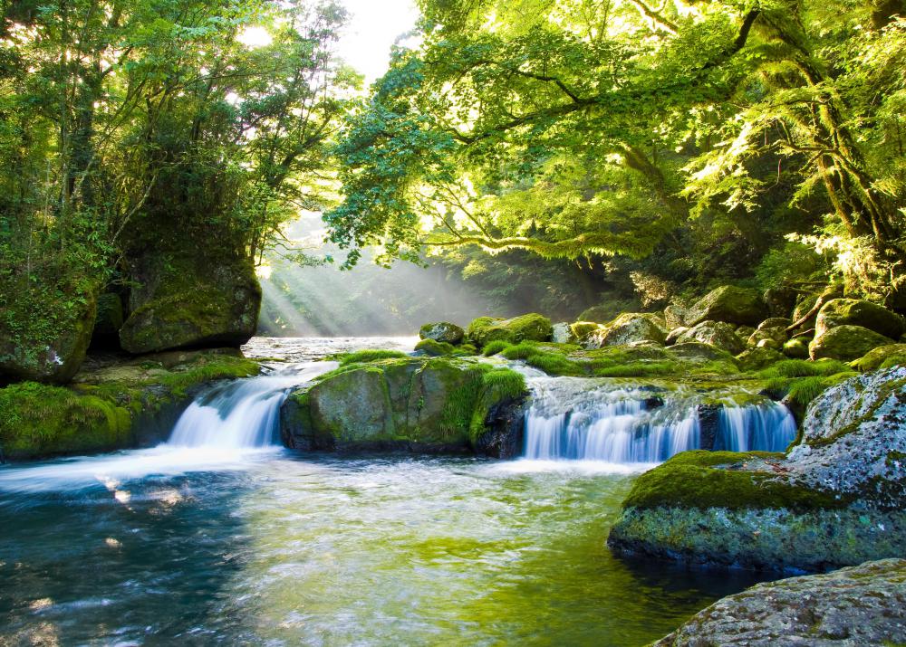 Up to the high water mark, rivers are public property in the United States.