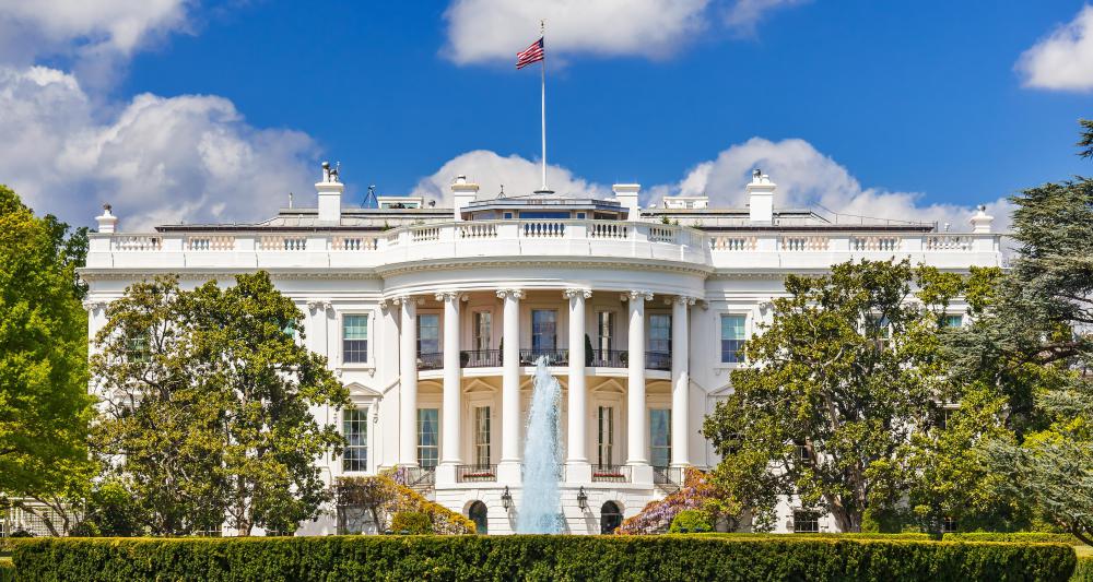 The executive branch of the U.S government carries out foreign policy, enforces laws, and oversees the military, among other duties.
