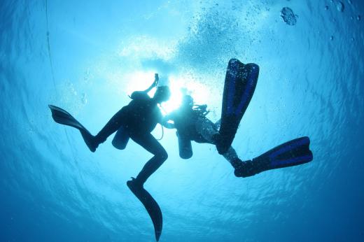 Scuba diving companies usually ask customers to sign a waiver of liability before they can participate in dives.